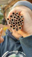 Veranstaltungsbild Wildbienen-Werkstatt